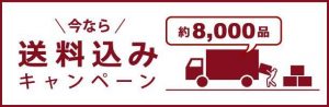 送料込みキャンペーン !